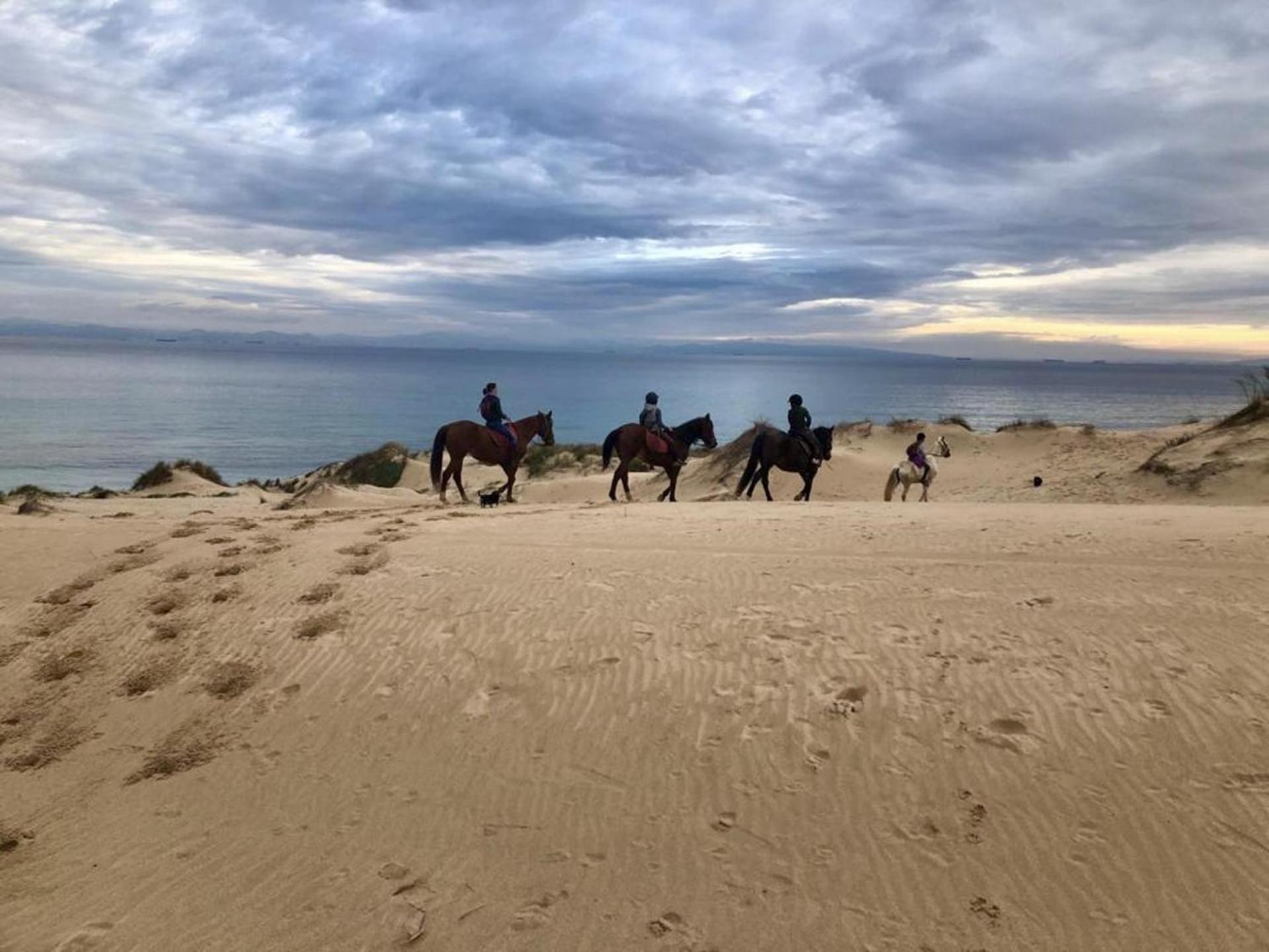 Beautiful Coastal Retreat In Punta Paloma Tarifa 아파트 외부 사진