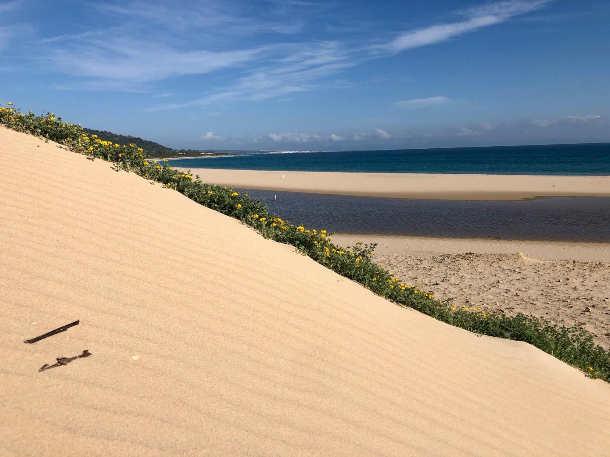 Beautiful Coastal Retreat In Punta Paloma Tarifa 아파트 외부 사진